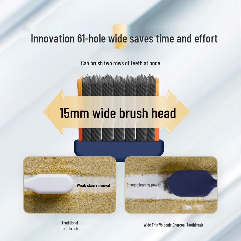 Lion Fine Tooth Clean Volcanic Charcoal Soft Toothbrush