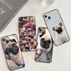 Cute Pug Dog Funda For iPhone 15 16 13 12 Mini 11 14 Pro Max 7 8 Plus X XR XS Max Phone Case