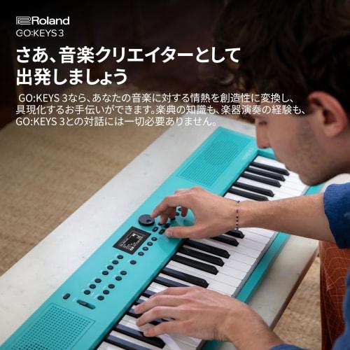 Roland GOKEYS3-TQ 61-Key Electronic Keyboard, Turquoise