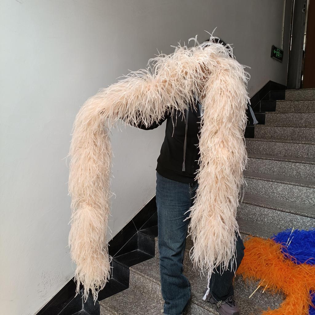 DIY 1 Ply Natural Ostrich Feathers Boa 2 Meter Fluffy Ostrich Feather Shawl for Wedding Party Dress Sewing Decoration Scarf