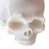 Skull Decoration Snap-On Monitor Clip 3D Printed Miniature Skull Figurine for Computer TV Screen Edge Unique Gothic Style Desktop Ornament Home Office