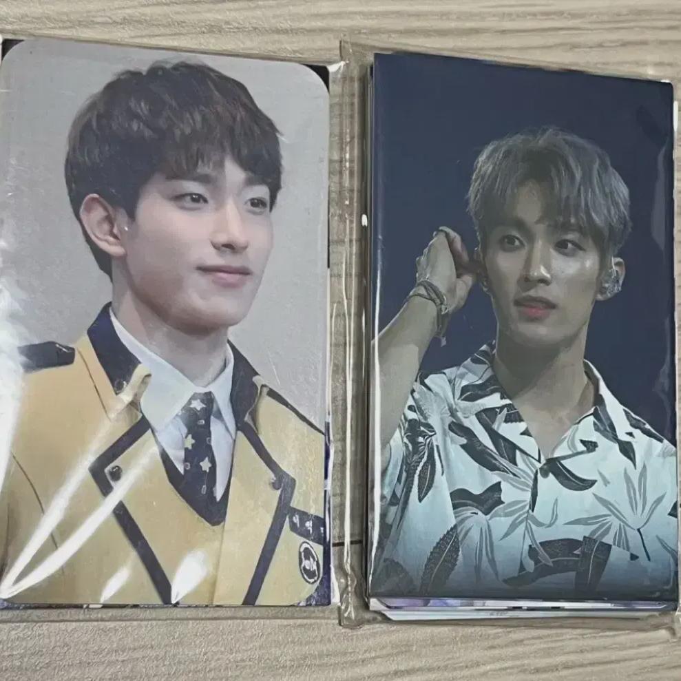 Seventeen Dk Unofficial Goods Photocard Set 