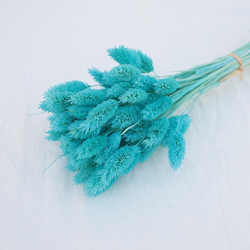 Natural Dried Statice Flower Bouquet - Everlasting Decoration for Vase & DIY Arrangements