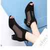 Fish Mouth Mesh Sandals Women's Thick Heel Medium Heel Fashion High Heels 2025 Spring and Summer Hollowed Out New Versatile Women's Cool Boots