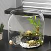 High-Transparency Desktop Fish and Turtle Tank with Eco-Landscape and Step-Type Climbing Platform for Home or Office