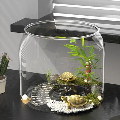 Desktop-Fisch- und Schildkrötenbecken mit hoher Transparenz, mit Öko-Landschaft und stufenförmiger Kletterplattform für Zuhause oder Büro