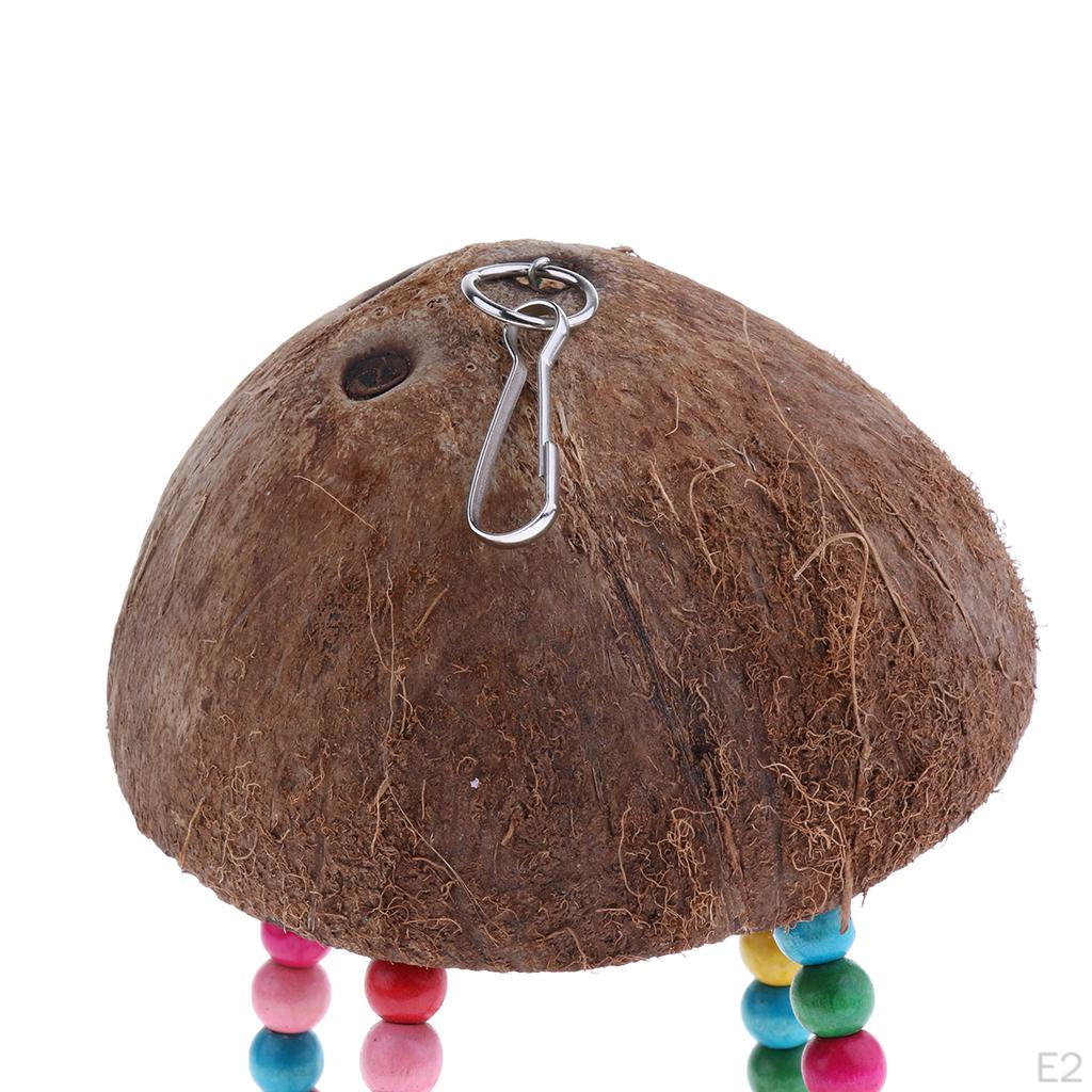 Coconut Shell Parrot Bird Climbing Ladder Stand Holder Cage Chewing Toy