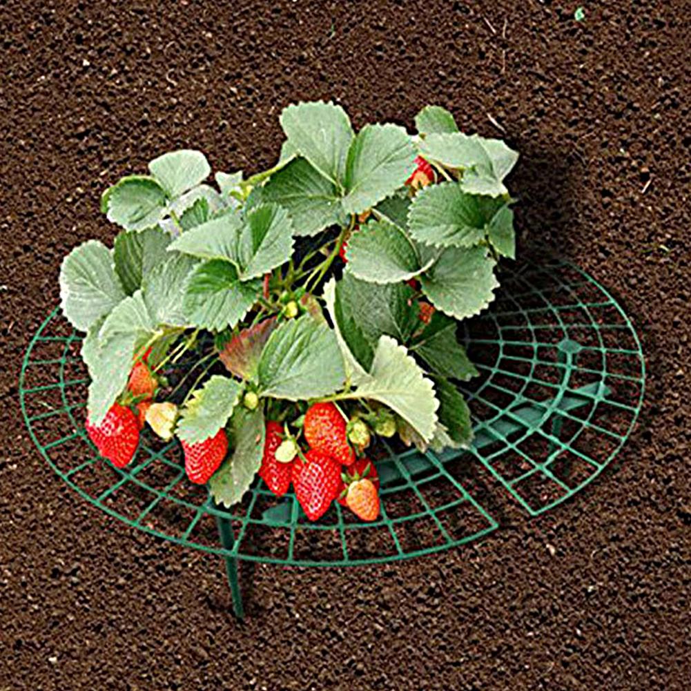 5PCS Strawberry Supports with 4 Sturdy Legs Garden Plants Fruit Stand Strawberry Growing Racks Plant Support Garden Accsesories
