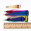 10pcs Lady Amherst Feather Tippet Nymph Wet Streamer Wing Tag Tail Fly Tying Material Salmon Steelhead Fishing Fly Tying
