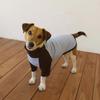 GOPE GOPE Dog Raglan Turtleneck DBSB