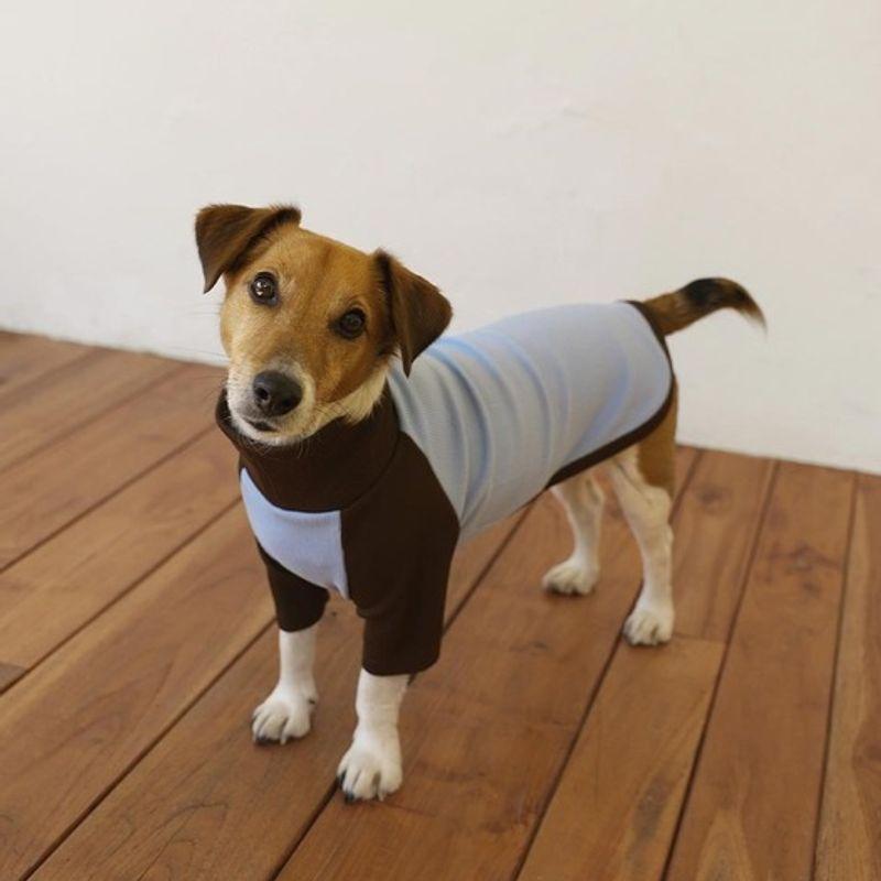 GOPE GOPE Dog Raglan Turtleneck DBSB