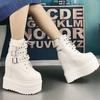 Fashion 14CM Gothic Style Platform Vampire Cosplay Women Mid-calf Boots Brand New 2024 Autumn Winter Fashion Cool Street Shoes Boots