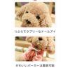 20cm Plush Toy Poodle with Detachable Hoodie, Sitting Position, Fluffy, Puppy, Body Pillow, Teddy Bear Dog, Teddy Poodle, Plush Toy, PP Cotton