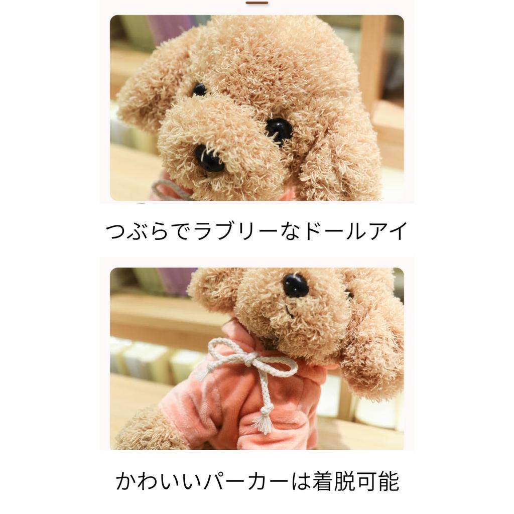 20cm Plush Toy Poodle with Detachable Hoodie, Sitting Position, Fluffy, Puppy, Body Pillow, Teddy Bear Dog, Teddy Poodle, Plush Toy, PP Cotton