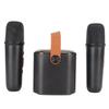 Mini Karaoke Machine Stereo Portable RGB Light Bluetooth Speaker with 2 Wireless Microphone for