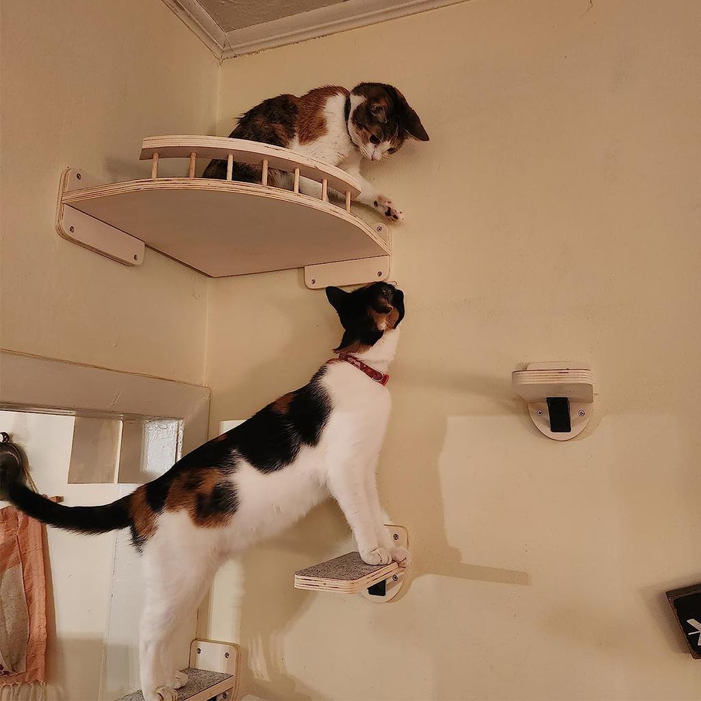 Wandmontierte Katzenregale Holz Katzen Ausguck Kletterregal Kätzchen Wandkletterbaum Möbel Vierstufige Treppe Indoor Katzenhängematte