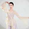 Women's Chinese Style Gradient Dance Dress, Flowy Chiffon Long Sleeve Performance Costume