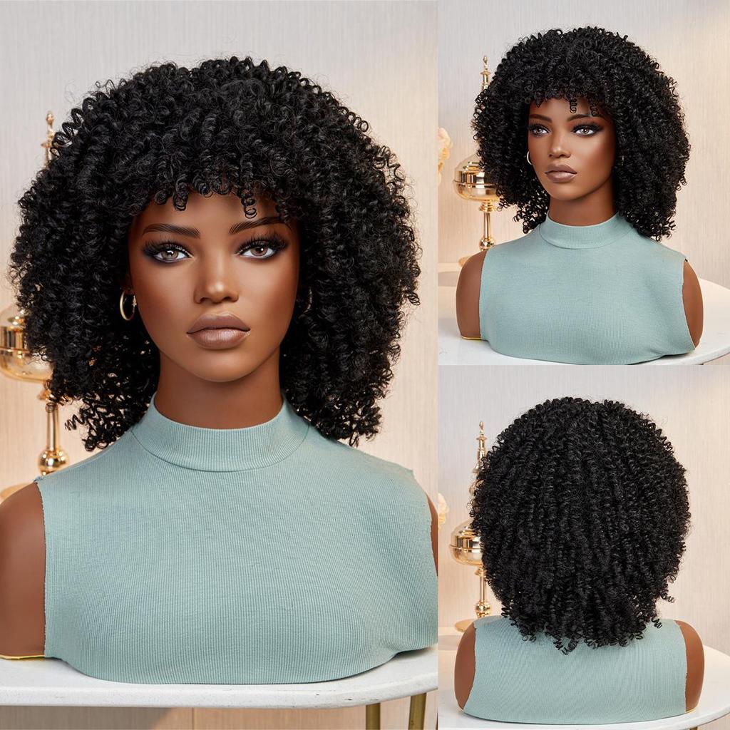 ALAN EATON Women's Kinky Curly Wigs for Black Women Black/Dark Brown Synthetic Wigs Heat Resistant Daily Party