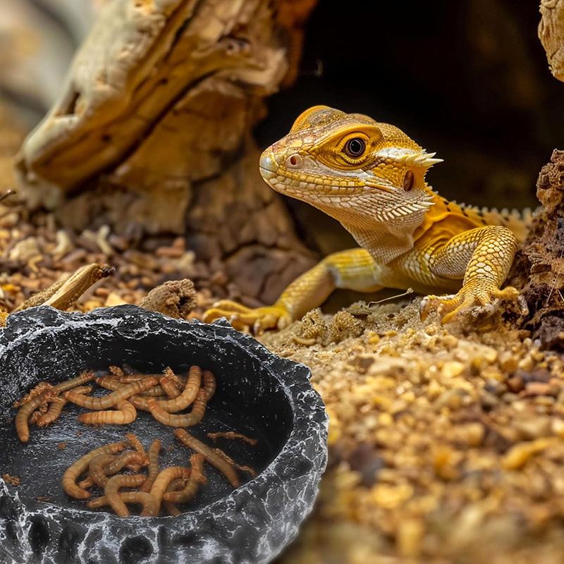 Reptile Feeding Water Bowl Realistic Stone Texture Safe Durable for Bearded Dragons Small Reptiles SYXZS03