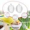 Bird Feeder Finch Foraging Food Dish Clear Parrot Feeder Hanging Feeding Bowl