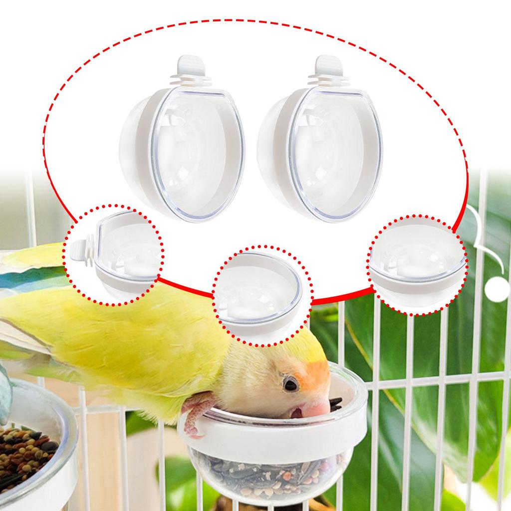 Bird Feeder Finch Foraging Food Dish Clear Parrot Feeder Hanging Feeding Bowl