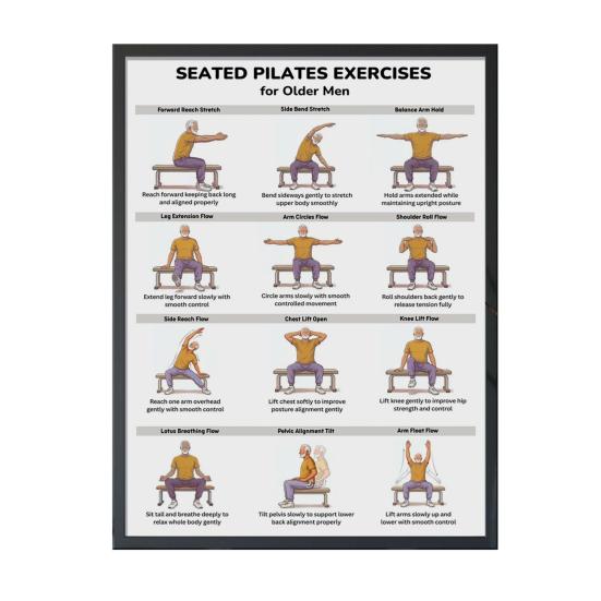 Chair Exercise Poster Seated Workout Chart Gentle Chair Yoga Movements Low Impact Exercise Guide for Seniors Beginners