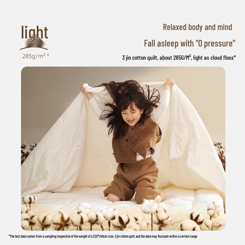 

Mercury Home Textiles Pure Xinjiang Cotton All-Season Quilt