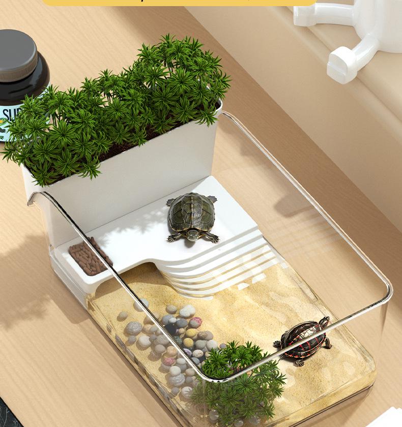 Turtle Habitat with Basking Platform: Escape-Proof, Luxurious Landscaping for Turtle Breeding, Planting Grass, and Raising Flowers.