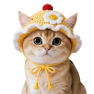 Refined Elastic Cat Knitted Hat Soft Handmade Craft Winter Dog Cap Comfortable To Wear Warm Warm Cat Beanie Autumn Winter