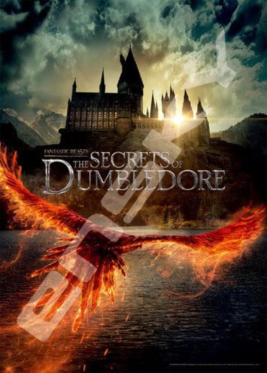 

Ensky Jigsaw Puzzle 500 Piece Fantastic Beasts and Dumbledore s Secret 500-506