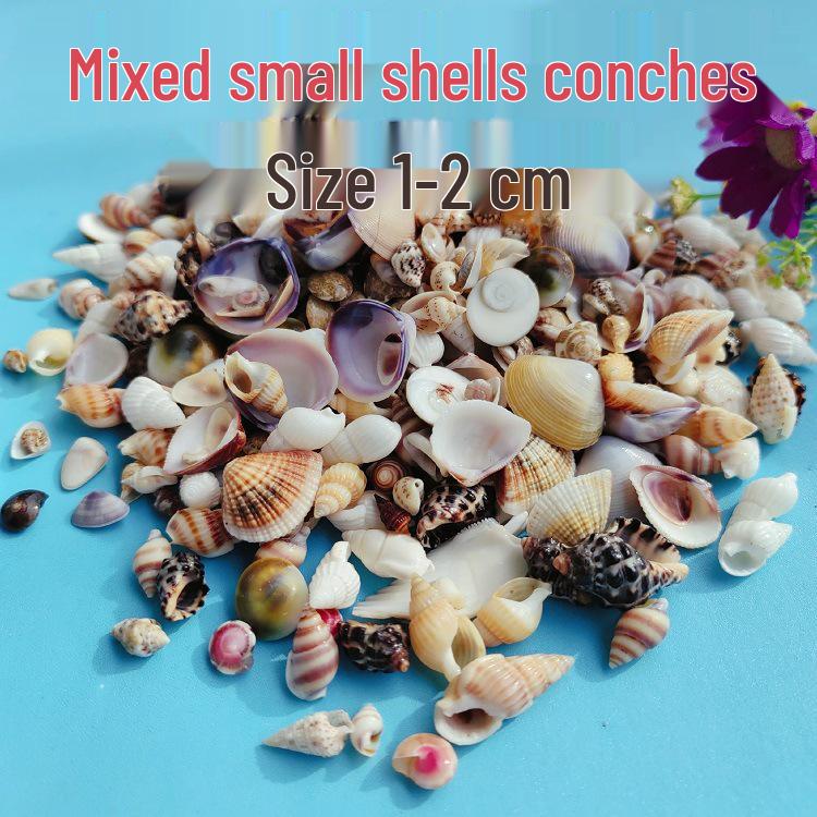 Conch Shells & Starfish for Hermit Crabs: Aquarium Decor & Drift Bottle Accessories