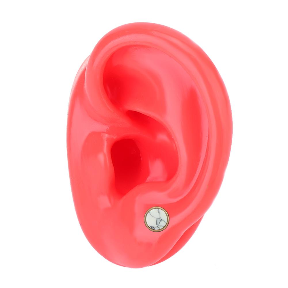 Soft Silicone Simulation Left Human Ear Model Ear Display Teaching Aid Model