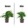 1Pc Climbing Vine Rack Plant Potted Support Frame Plastic Coated Steel Flower Vegetables Decorative Plant Trellis Bracket Tools