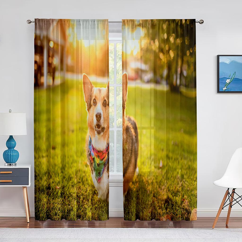 Corgi In The Flower Field Puppy Dog Sheer Curtains Window Treatment for Kitchen Living Room Bedroom Decor Modern Tulle Curtains