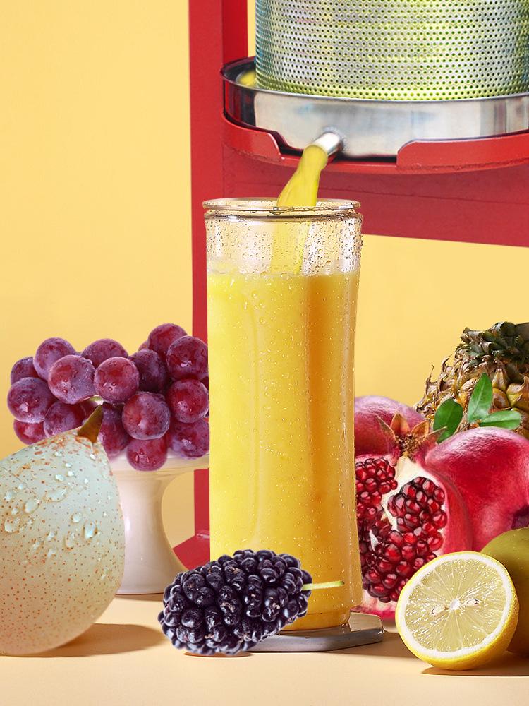 Manual Hydraulic Oil Press Machine for Home & Commercial Use