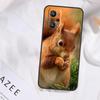 Squirrel Case For Realme 15 14 13 11 12 Pro Plus GT6 GT7 Pro C55 C51 C53 C35 C33 C31 C61 C67 C71 C75