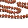 10 Mukhi Indonesian Rudraksha Mala 108+1 Beads |Spiritual Healing Necklace| Meditation Yoga Mala |Authentic Rudraksha Mala for Men & Women