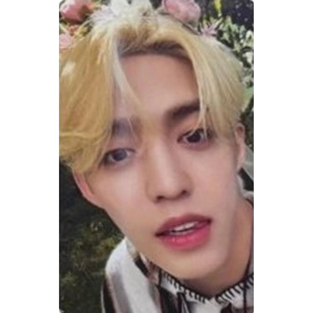 SEVENTEEN SEVENTEENTH HEAVEN STANDARD CARAT ver. CARTE PHOTO OFFICIELLE