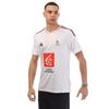 Mens France V Neck Regular Football Jersey