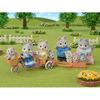 Sylvanian Families Dolls Husky Family FS-41 Friendly Cycling Set - Siblings DF-15Set Purchase