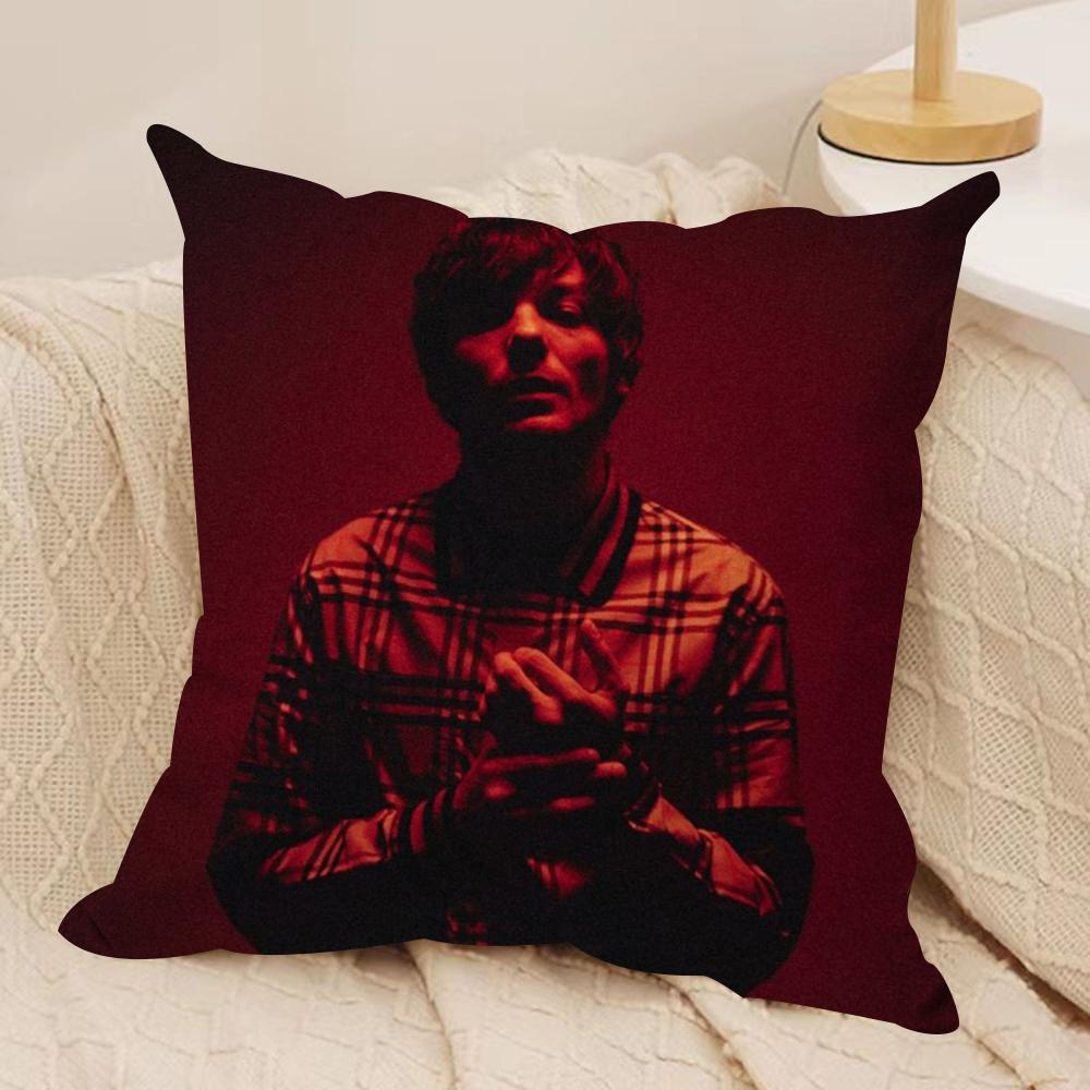 Louis Singer Tomlinsons Kissenbezug Seidiger Kurzer Plüsch Beidseitig Bedruckter Kissenbezug für Sofa Alle Jahreszeiten Heimdekoration Geschenk