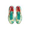 Nike LeBron 9 Low LeBronold Palmer DO9355-300