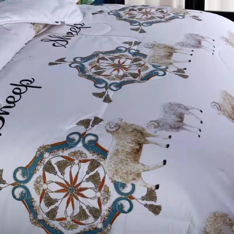 Yalan Antibacterial Wool Winter Quilt