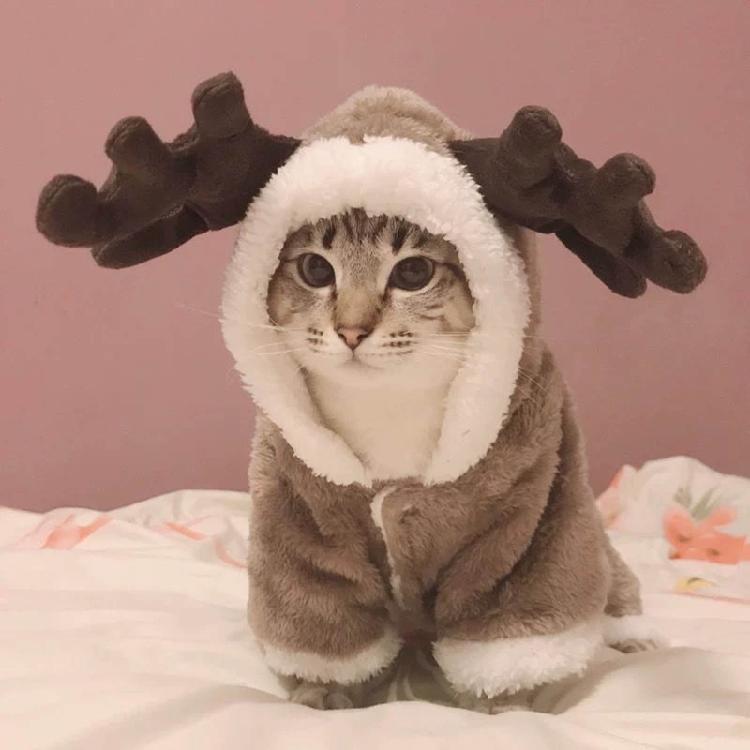 Pet Dog Clothes Winter Christmas Hoodie Soft Coat Button Closure for Small Dogs