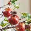 Pomegranate and Persimmon Artificial Flower Branch for Living Room or Dining Table Decoration