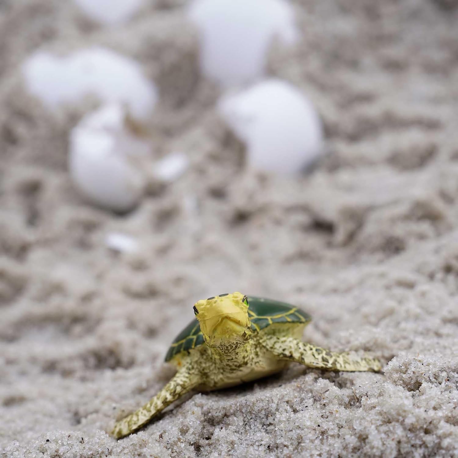 Сафари ООО. Фигурка детеныша зеленой морской черепахи - Реалистичная модель 2,38 дюйма - Образовательная игрушка для мальчиков, девочек и детей от 1 года