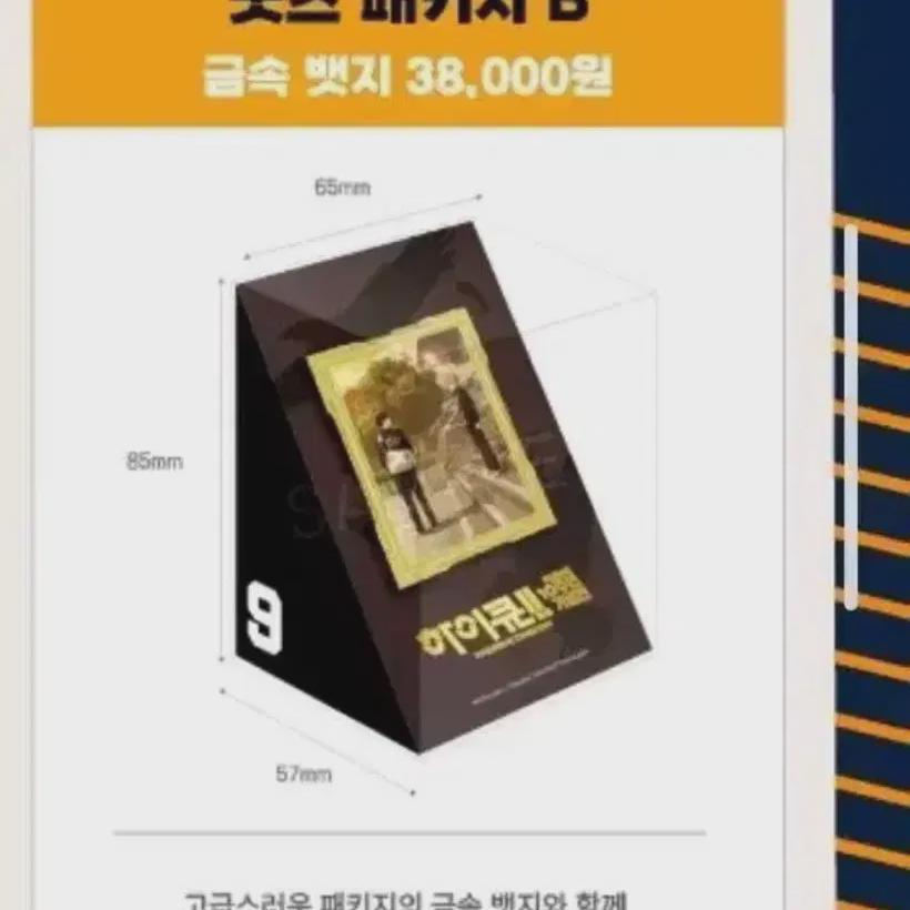 

Выставка Хайкю Значок B