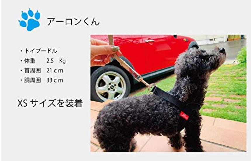 Anifull Anisapo Harest Black L Size