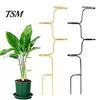 Suporte em Espiral para Estaca de Planta Clematis, Suporte de Metal, Suporte de Haste Curva, Guia de Crescimento Vertical Plantas Trepadeiras Monstera Pothos Rosas Resistente