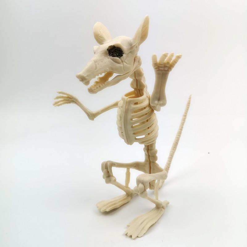 Halloween Skeleton Animal Set: Bat, Spider, Scorpion, Mouse, Snake, Toad & Haunted House Props